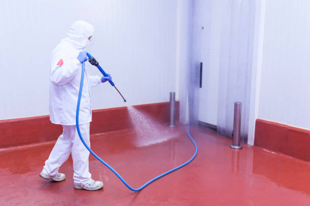 Best Playground Equipment Cleaning  in Burnham, IL