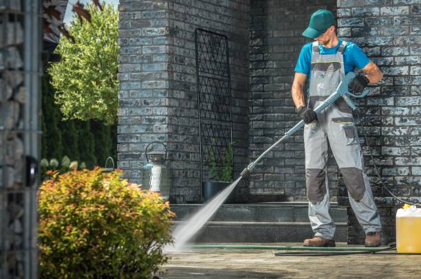 Best Graffiti Removal  in Burnham, IL