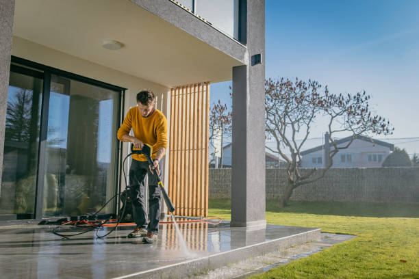 Best Sidewalk and Walkway Cleaning  in Burnham, IL